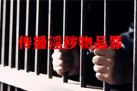 . 传播淫秽物品罪的刑事责任及处罚标准视频封面