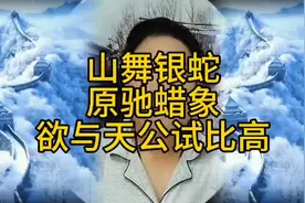 山舞银蛇，原驰蜡象，欲与天公试比高视频封面