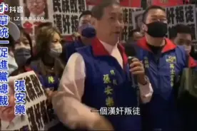 统派大佬，霸道总裁张安乐。