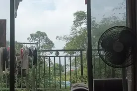 哥哥说骑马，给妹妹骑马，长大后再看看视频封面