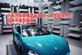 小米汽车上市三个半月，显示出强劲发展势头，但其前景依然堪忧视频封面