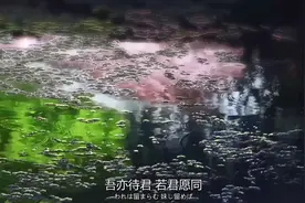 1967年，村里的小汪塘边，发生了一件惊悚的奇异怪事