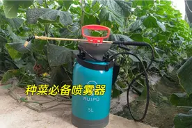 种菜必备的喷雾器，好看耐用，使用方便视频封面