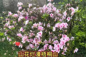 师生花海   为何观天地？有何大意义？少见多怪没，见多识广至。视频封面