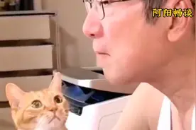 爷爷收养幼年的流浪猫，长大后成了爷爷的“守护神”视频封面