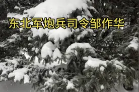 东北军炮兵司令邹作华