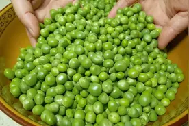 保存豌豆，千万不要直接放冰箱，教你技巧，放一年还新鲜，真实用视频封面