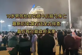 河南十岁男孩儿被烟花炸伤身亡后续:若未找到凶手，政府买单视频封面