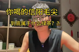 现在的信阳毛尖属于什么类型的绿茶？十个人有九个人都回答不对视频封面