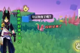 原神4.8版版本[新地图]打卡点解气