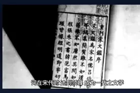 纳兰性德经典诗词视频封面