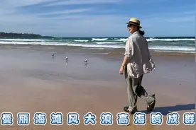 酒后开车你敢吗？在澳洲可以的但必须遵守规则，云台进水损失1千视频封面