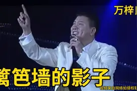 《篱笆墙的影子》硬是被万梓良唱出了江湖大佬返乡的感觉