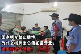 "禁令之下，棋牌室为何照常营业？专家揭秘：性质有别！"