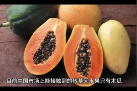 国内和国外的转基因水果视频封面