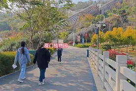 厦门植物园视频封面
