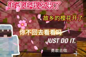giao桑，故乡的樱花开了 你不回去看看吗