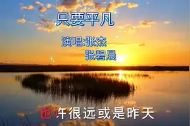 经典歌曲《只要平凡》歌词朴实真挚，仿佛在诉说着每个人的心声