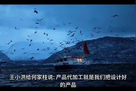 番茄签约长篇有声小说《返乡人》十九，作者:江东视频封面