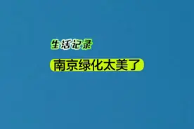 南京的绿化太美了，这一点值得全国去学习视频封面