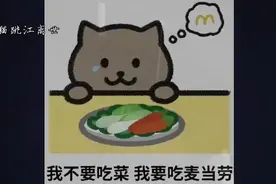 我要吃麦当劳。胖猫生前的愿望，如今却连外卖包都是空的。视频封面