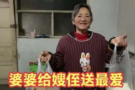 嫂子带孩子勤俭持家，婆婆时常惦记送吃的，尽最大努力让嫂子幸福视频封面