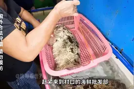 渔民用罐子抓来一堆大龙虾，不留着吃拿来钓鱼，最后还真赚了视频封面
