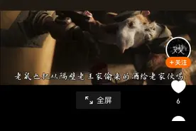 世界上对转基因理解最神的是谁～他就是沈阳光头翁视频封面