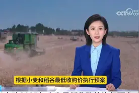 农民的福音来了！河南启动2025年小麦最低收购价执行预案视频封面