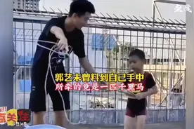 全红婵自幼离家独自投身训练小小年纪承受着训练的千辛万苦视频封面