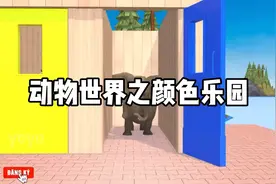 动物世界之颜色乐园视频封面
