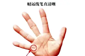 什么样的财运线最好，财运旺不愁钱花视频封面