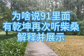 为啥说91里面有乾坤再次听柴桑解释并展示视频封面