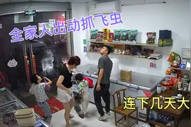 深圳连下几天大雨，店铺飞进好多虫子，全家出动抓飞虫场面很搞笑视频封面