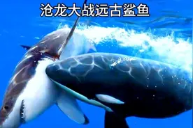 海洋霸主滑齿龙落幕，克柔龙上位，最终沧龙称霸却遭鲨鱼猛攻！