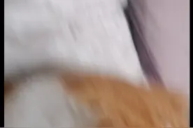 ¥$。∮…%@/”—.…～-（未知语言）视频封面