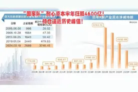 “国家队”耐心资本半年狂掷4600亿元！持仓逼近历史峰值！视频封面