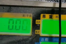 做个帅帅的小哥哥视频封面