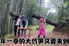 婆婆上一秒还在抱怨，一听说二妹怀孕了，高兴的浑身都有劲儿了视频封面