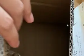 小奶糕找到你喽😆视频封面