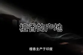 檀香的产地视频封面