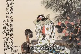 看电视剧《知否知否应是绿肥红瘦》，品味宋朝文化。视频封面