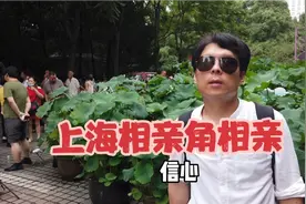 男子上海相亲角相亲，一席话说出成为大龄剩男的主要原因，扎心了视频封面