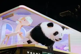 成都太古里熊猫裸眼3D汇总，一次看个够视频封面