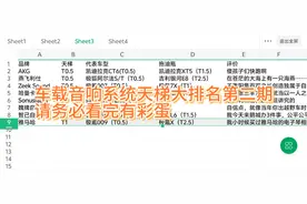 车载音响系统天梯大排名第二期：看完，你猜特斯拉的音响系统T几视频封面