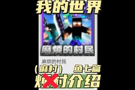 我的世界五款烦村模组；第五款：鱼七麻村