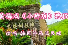 名家韩再芬马兰吴琼同唱黄梅戏《小辞店》选段声情并茂 感染力强视频封面