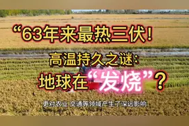 “63年来最热三伏！高温持久之谜：地球在‘发烧’吗？”