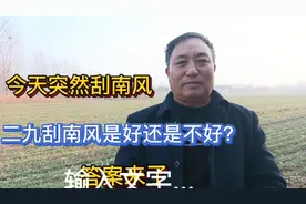 今天突然刮南风，二九里刮南风会非常不好？听听老话是咋说的视频封面