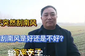 今天突然刮南风，二九里刮南风会非常不好？听听老话是咋说的视频封面